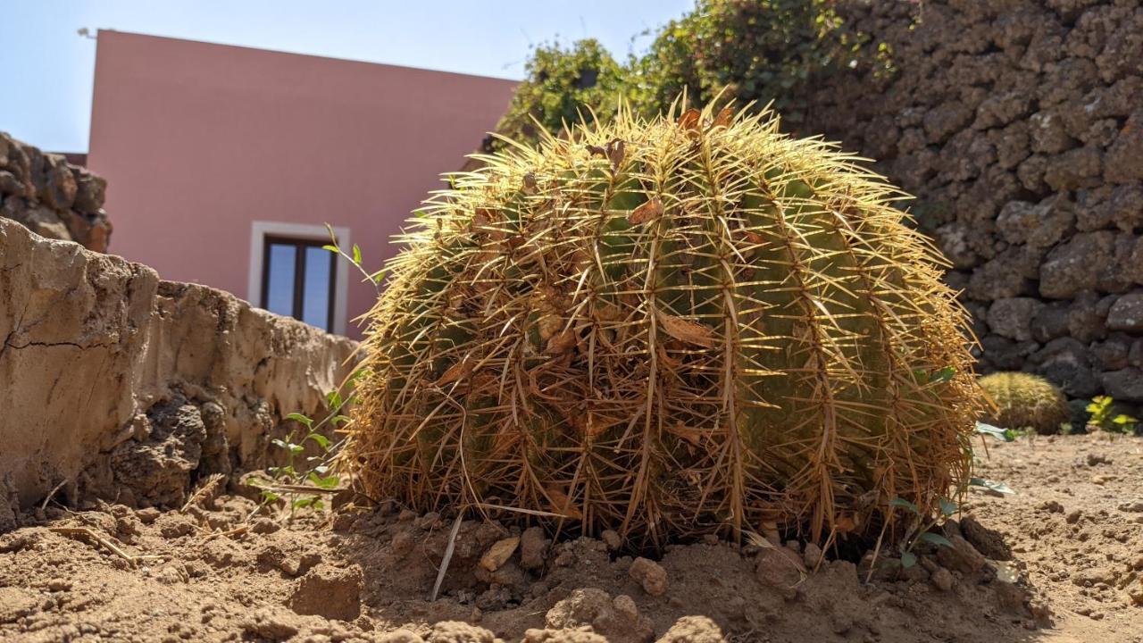 Bed and Breakfast Horizon Pantelleria Campobello Exterior foto